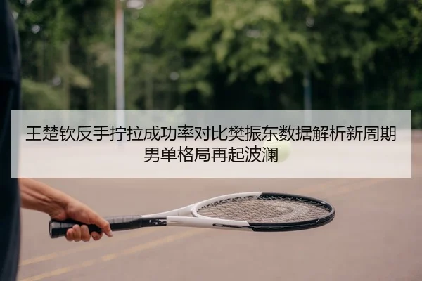 王楚钦反手拧拉成功率对比樊振东数据解析新周期男单格局再起波澜